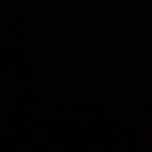 Meet your Posher, Alexia